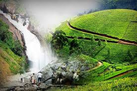 COCHIN, MUNNAR, THEKKADY, ALLEPPEY & KOVALAM TOUR PACKAGE